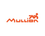 MULLION